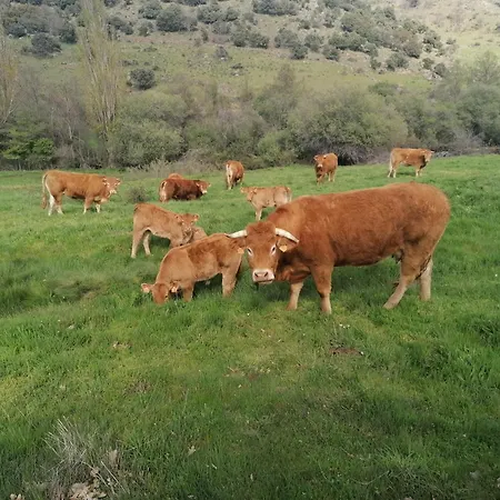 Batallas Rural Casa de Férias